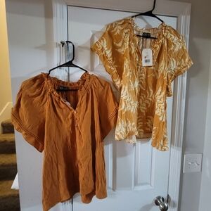 2 Wonderly Peasant Tops